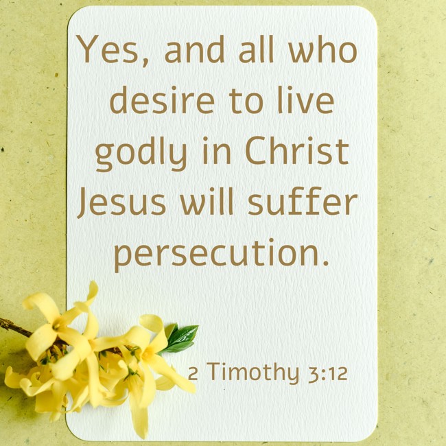 Yes, and all who desire to live godly in Christ Jesus will suffer persecution. - 2 Timothy 3:12