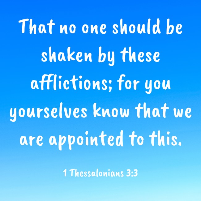 That no one should be shaken by these afflictions; for you yourselves know that we are appointed to this. - 1 Thessalonians 3:3