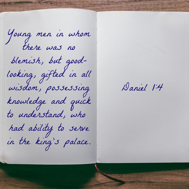 Young men in whom there was no blemish, but good-looking, gifted in all wisdom, possessing knowledge and quick to understand, who had ability to serve in the king’s palace. - Daniel 1:4