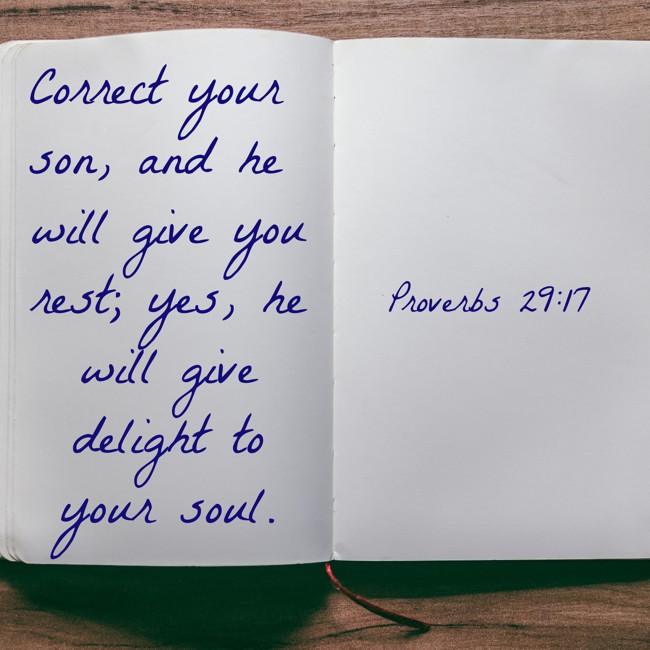 Correct your son, and he will give you rest; yes, he will give delight to your soul. - Proverbs 29:17