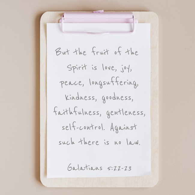 But the fruit of the Spirit is love, joy, peace, longsuffering, kindness, goodness, faithfulness, gentleness, self-control. Against such there is no law. - Galatians 5:22-23