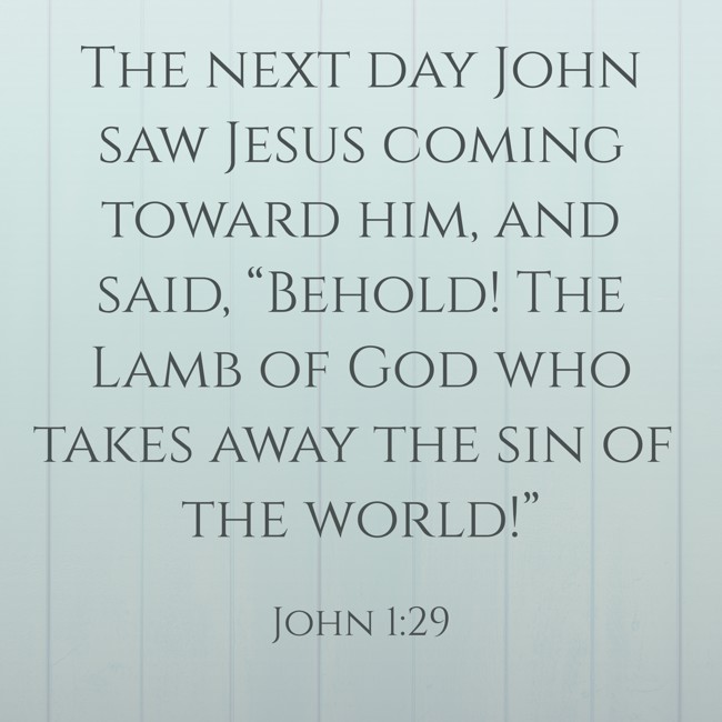 The next day John saw Jesus coming toward him, and said, “Behold! The Lamb of God who takes away the sin of the world!” - John 1:29