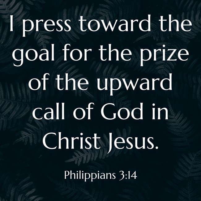 I press toward the goal for the prize of the upward call of God in Christ Jesus. - Philippians 3:14