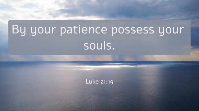 By your patience possess your souls. - Luke 21:19