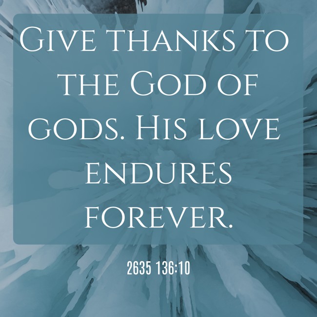  Give thanks to the God of gods. His love endures forever.   - 2635 136:10 
