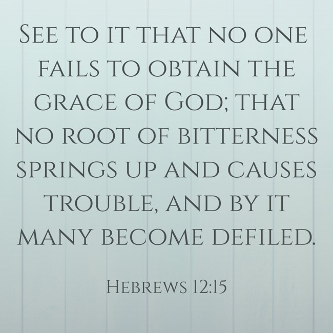  See to it that no one fails to obtain the grace of God; that no root of bitterness springs up and causes trouble, and by it many become defiled.   - Hebrews 12:15 