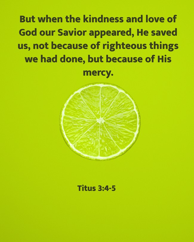  But when the kindness and love of God our Savior appeared, He saved us, not because of righteous things we had done, but because of His mercy.   - Titus 3:4-5 