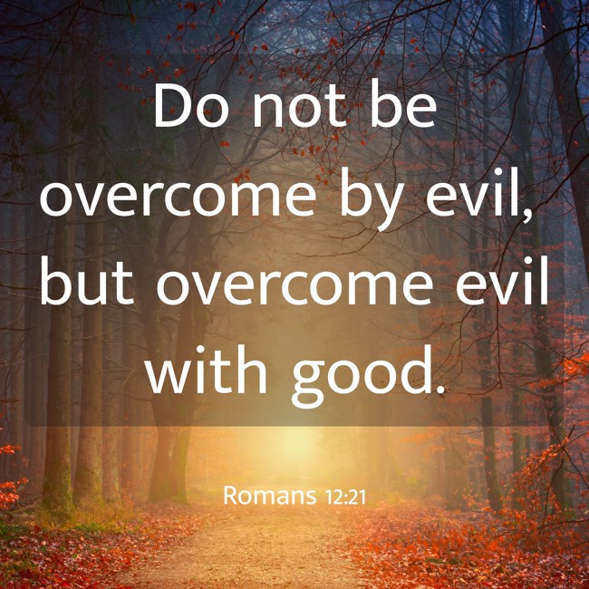  Do not be overcome by evil, but overcome evil with good.   - Romans 12:21 