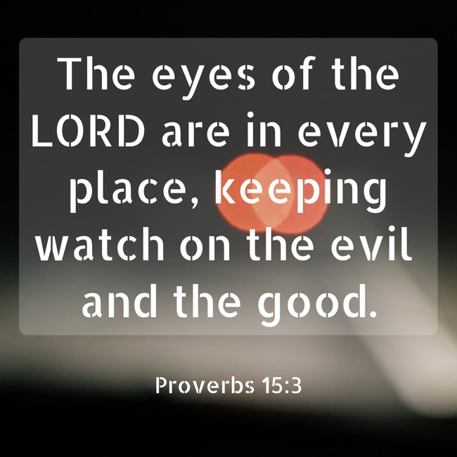 The eyes of the LORD are in every place, keeping watch on the evil and the good. - Proverbs 15:3