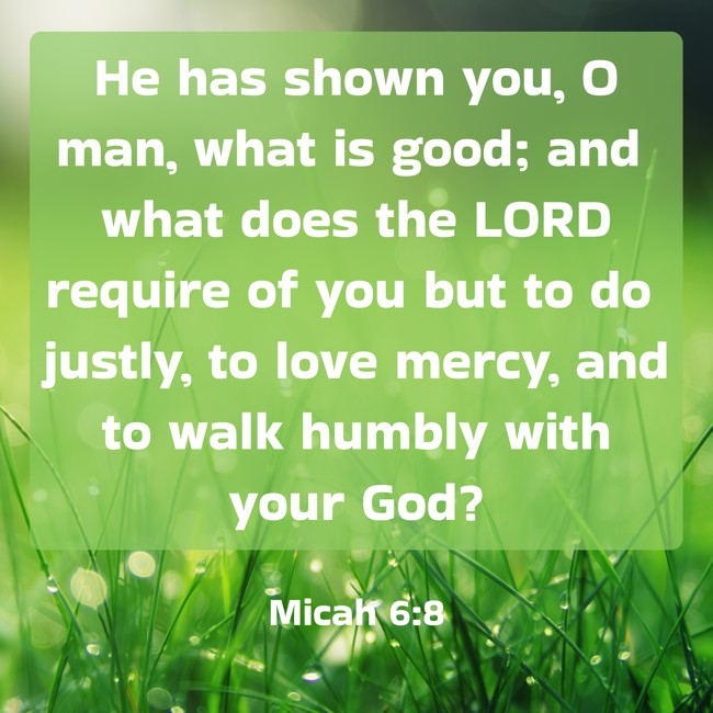 He has shown you, O man, what is good; and what does the LORD require of you but to do justly, to love mercy, and to walk humbly with your God? - Micah 6:8