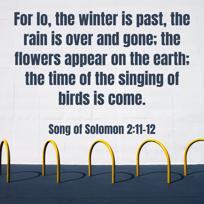 For lo, the winter is past, the rain is over and gone; the flowers appear on the earth; the time of the singing of birds is come. - Song of Solomon 2:11-12