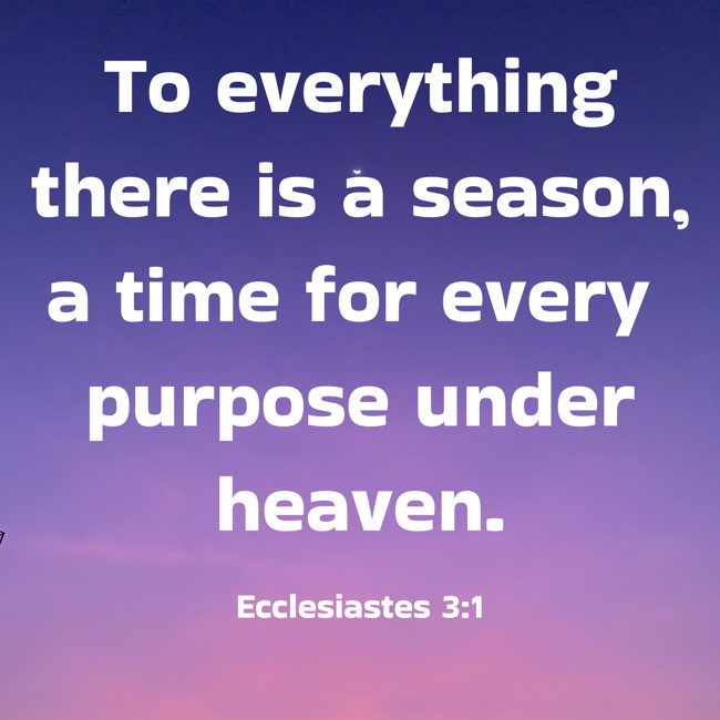 To everything there is a season, a time for every purpose under heaven. - Ecclesiastes 3:1