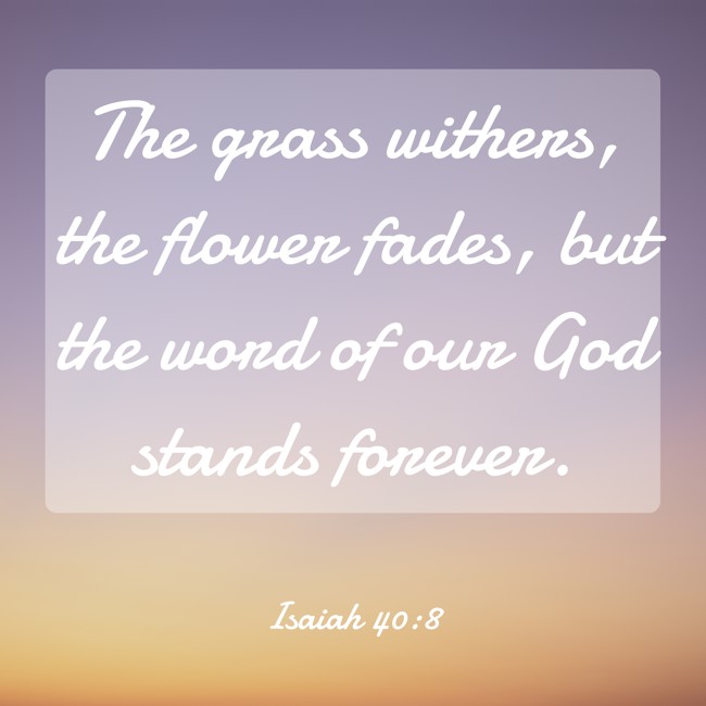 The grass withers, the flower fades, but the word of our God stands forever. - Isaiah 40:8