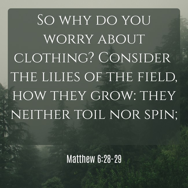 So why do you worry about clothing? Consider the lilies of the field, how they grow: they neither toil nor spin; - Matthew 6:28-29