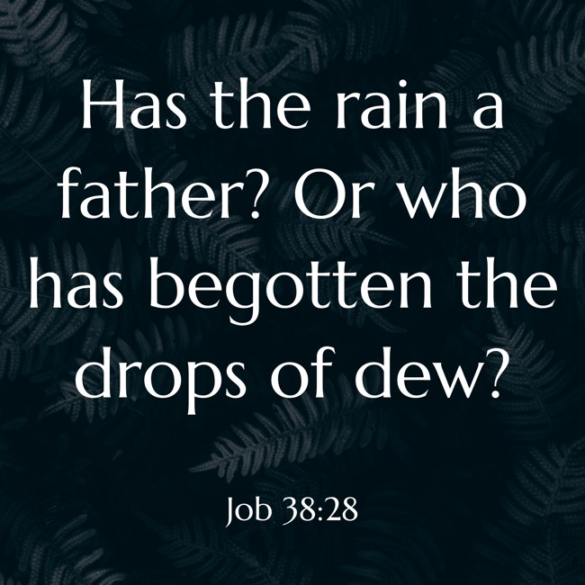 Has the rain a father? Or who has begotten the drops of dew? - Job 38:28