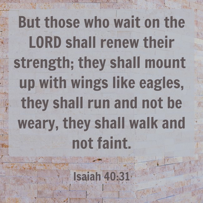  But those who wait on the LORD shall renew their strength; they shall mount up with wings like eagles, they shall run and not be weary, they shall walk and not faint.   - Isaiah 40:31 