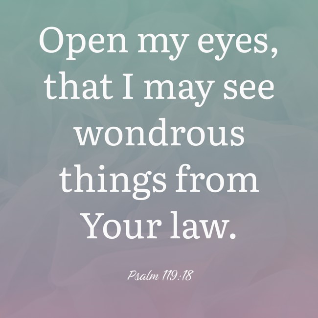 Open my eyes, that I may see wondrous things from Your law. - Psalm 119:18