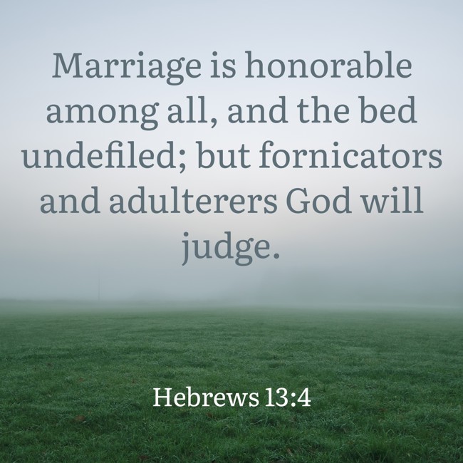  Marriage is honorable among all, and the bed undefiled; but fornicators and adulterers God will judge.   - Hebrews 13:4 
