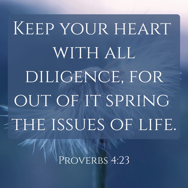  Keep your heart with all diligence, for out of it spring the issues of life.   - Proverbs 4:23 