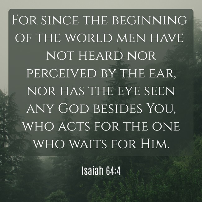  For since the beginning of the world men have not heard nor perceived by the ear, nor has the eye seen any God besides You, who acts for the one who waits for Him.   - Isaiah 64:4 