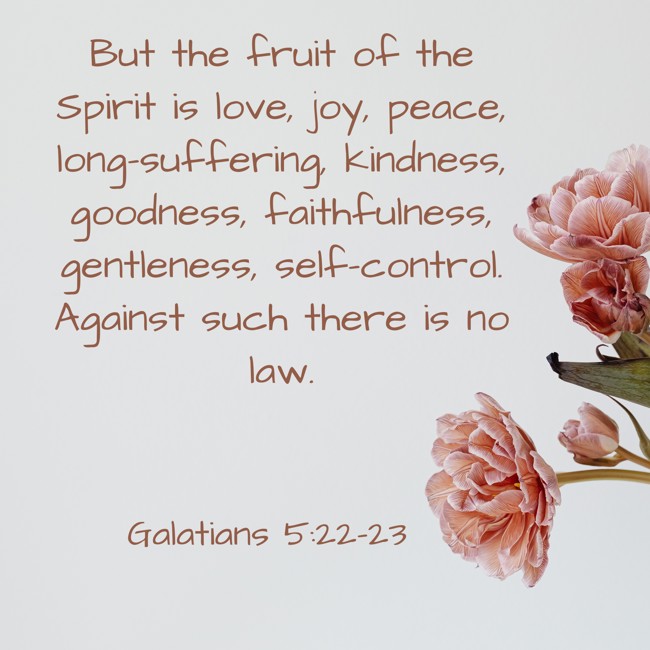  But the fruit of the Spirit is love, joy, peace, long-suffering, kindness, goodness, faithfulness, gentleness, self-control. Against such there is no law.   - Galatians 5:22-23 