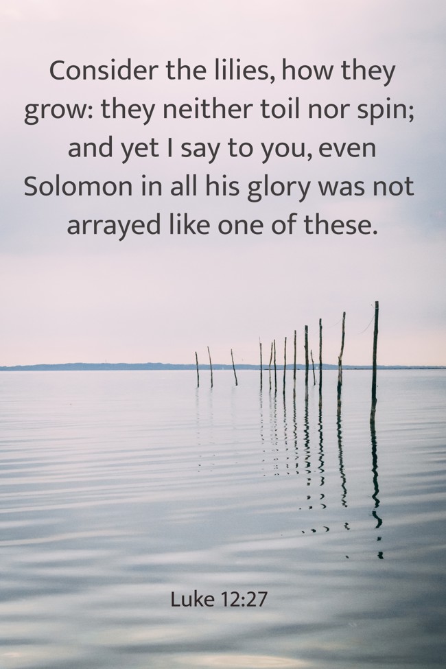 Consider the lilies, how they grow: they neither toil nor spin; and yet I say to you, even Solomon in all his glory was not arrayed like one of these. - Luke 12:27