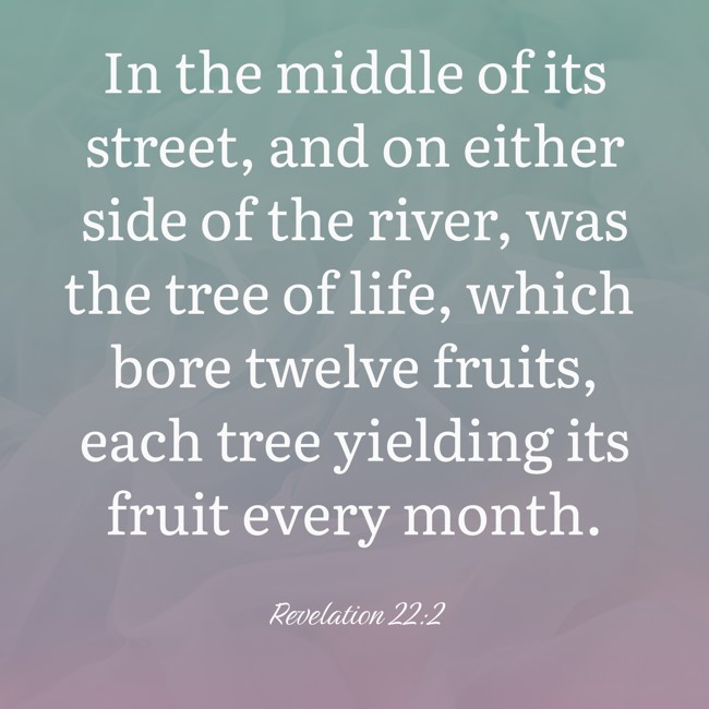 In the middle of its street, and on either side of the river, was the tree of life, which bore twelve fruits, each tree yielding its fruit every month. - Revelation 22:2