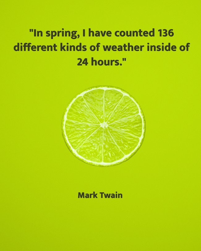 In spring, I have counted 136 different kinds of weather inside of 24 hours. - Mark Twain