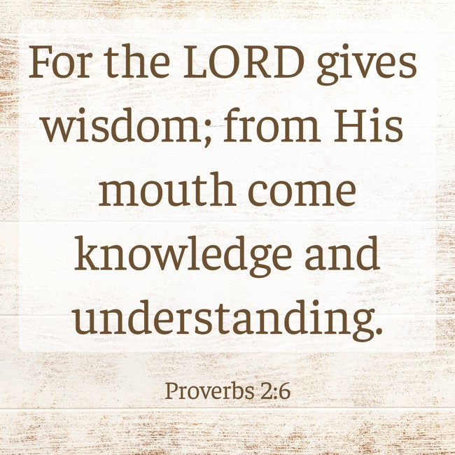  For the LORD gives wisdom; from His mouth come knowledge and understanding.   - Proverbs 2:6 