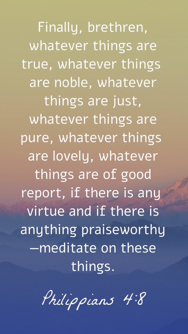 Finally, brethren, whatever things are true, whatever things are noble, whatever things are just, whatever things are pure, whatever things are lovely, whatever things are of good report, if there is any virtue and if there is anything praiseworthy—meditate on these things. - Philippians 4:8