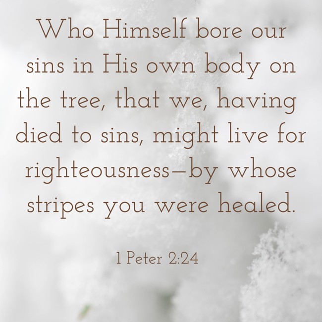 Who Himself bore our sins in His own body on the tree, that we, having died to sins, might live for righteousness—by whose stripes you were healed. - 1 Peter 2:24