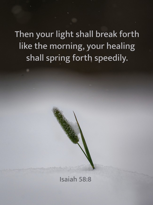 Then your light shall break forth like the morning, your healing shall spring forth speedily. - Isaiah 58:8