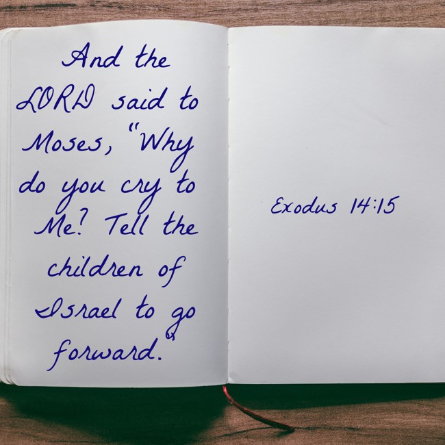 And the LORD said to Moses, “Why do you cry to Me? Tell the children of Israel to go forward.” - Exodus 14:15