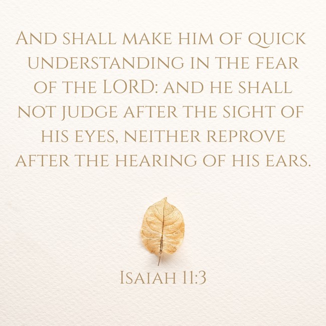 And shall make him of quick understanding in the fear of the LORD: and he shall not judge after the sight of his eyes, neither reprove after the hearing of his ears. - Isaiah 11:3