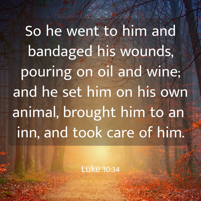 So he went to him and bandaged his wounds, pouring on oil and wine; and he set him on his own animal, brought him to an inn, and took care of him. - Luke 10:34
