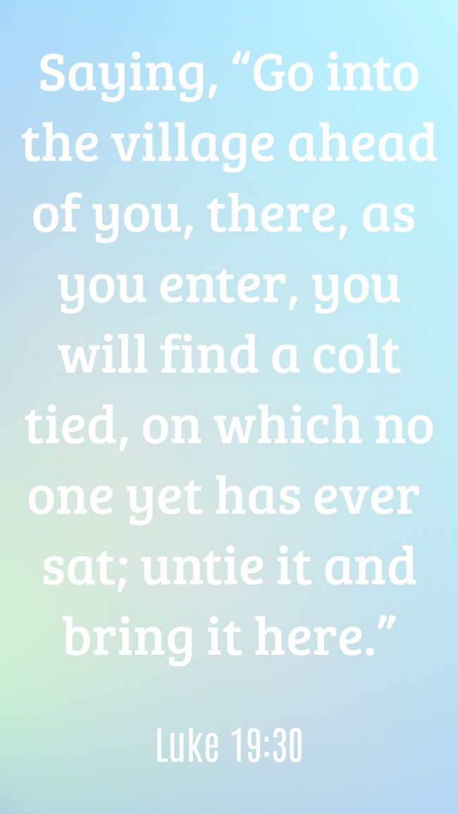 Saying, “Go into the village ahead of you, there, as you enter, you will find a colt tied, on which no one yet has ever sat; untie it and bring it here.” - Luke 19:30