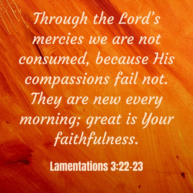 Through the Lord’s mercies we are not consumed, because His compassions fail not. They are new every morning; great is Your faithfulness. - Lamentations 3:22-23