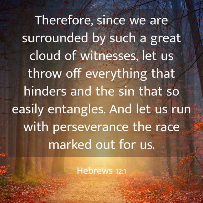 Therefore, since we are surrounded by such a great cloud of witnesses, let us throw off everything that hinders and the sin that so easily entangles. And let us run with perseverance the race marked out for us. - Hebrews 12:1