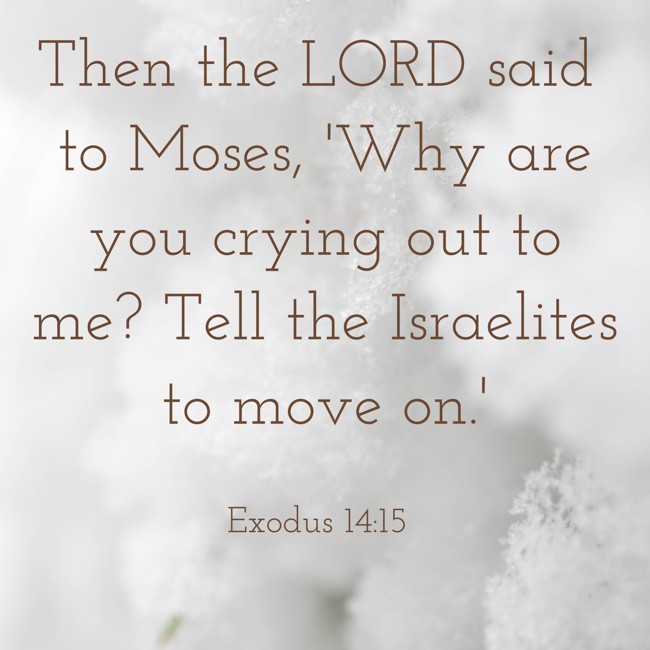 Then the LORD said to Moses, 'Why are you crying out to me? Tell the Israelites to move on.' - Exodus 14:15