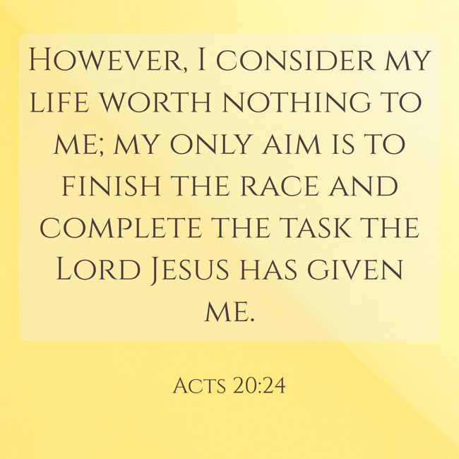 However, I consider my life worth nothing to me; my only aim is to finish the race and complete the task the Lord Jesus has given me. - Acts 20:24