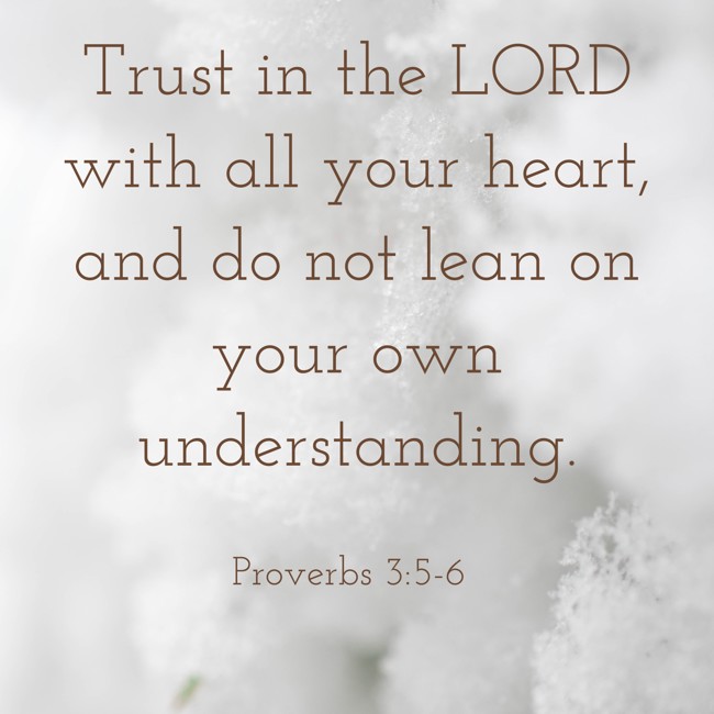 Trust in the LORD with all your heart, and do not lean on your own understanding. - Proverbs 3:5-6