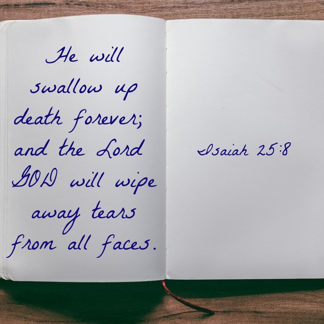 He will swallow up death forever; and the Lord GOD will wipe away tears from all faces. - Isaiah 25:8
