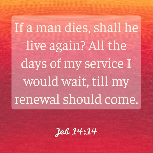 If a man dies, shall he live again? All the days of my service I would wait, till my renewal should come. - Job 14:14