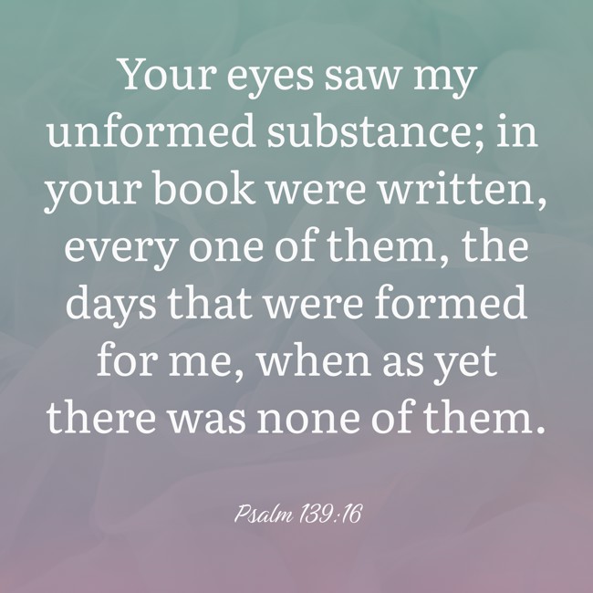Your eyes saw my unformed substance; in your book were written, every one of them, the days that were formed for me, when as yet there was none of them. - Psalm 139:16