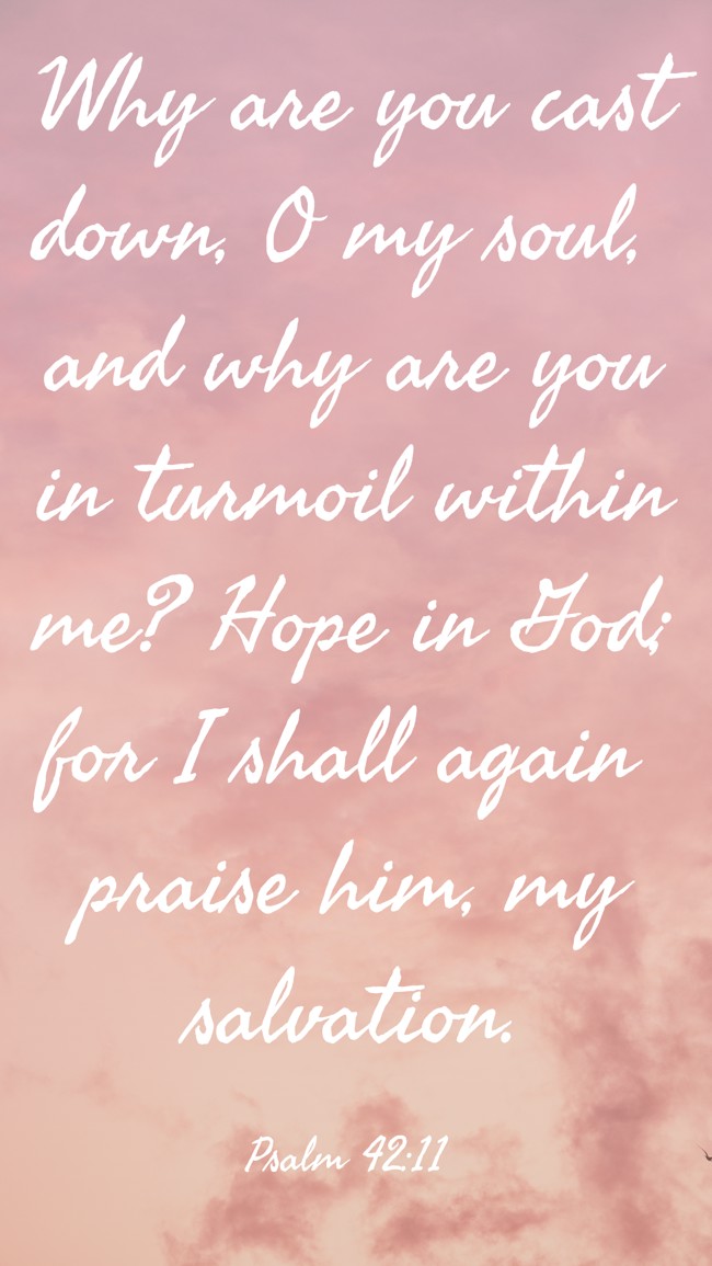 Why are you cast down, O my soul, and why are you in turmoil within me? Hope in God; for I shall again praise him, my salvation. - Psalm 42:11
