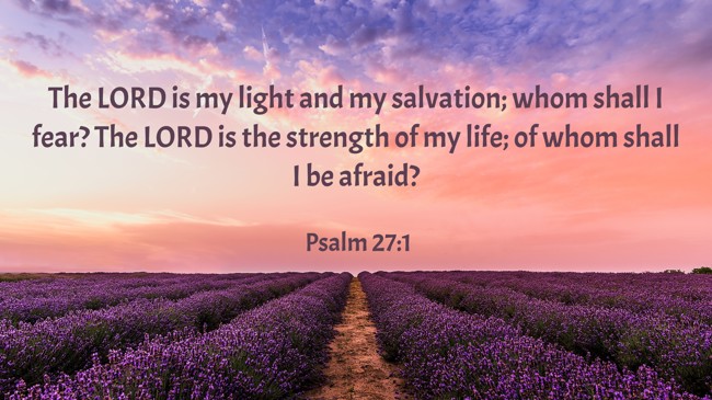 The LORD is my light and my salvation; whom shall I fear? The LORD is the strength of my life; of whom shall I be afraid? - Psalm 27:1