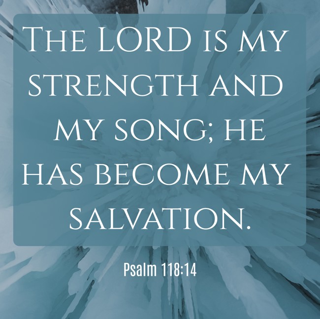 The LORD is my strength and my song; he has become my salvation. - Psalm 118:14