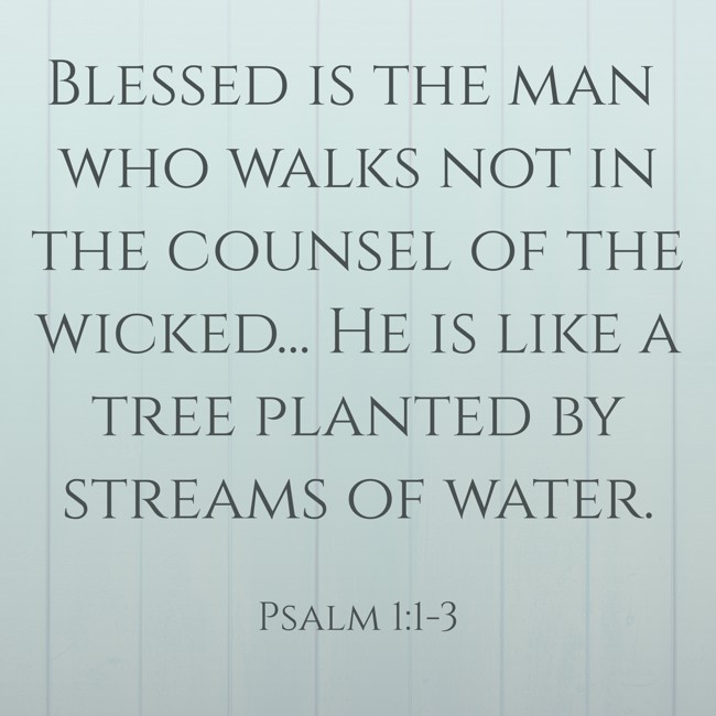 Blessed is the man who walks not in the counsel of the wicked... He is like a tree planted by streams of water. - Psalm 1:1-3