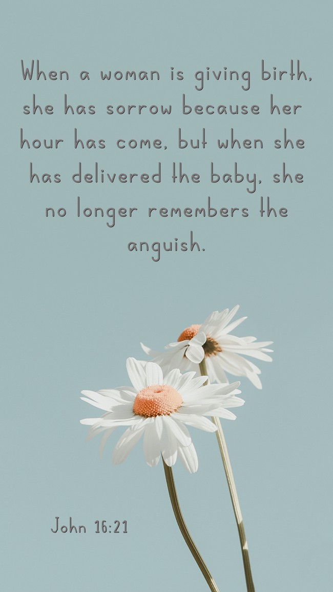 When a woman is giving birth, she has sorrow because her hour has come, but when she has delivered the baby, she no longer remembers the anguish. - John 16:21