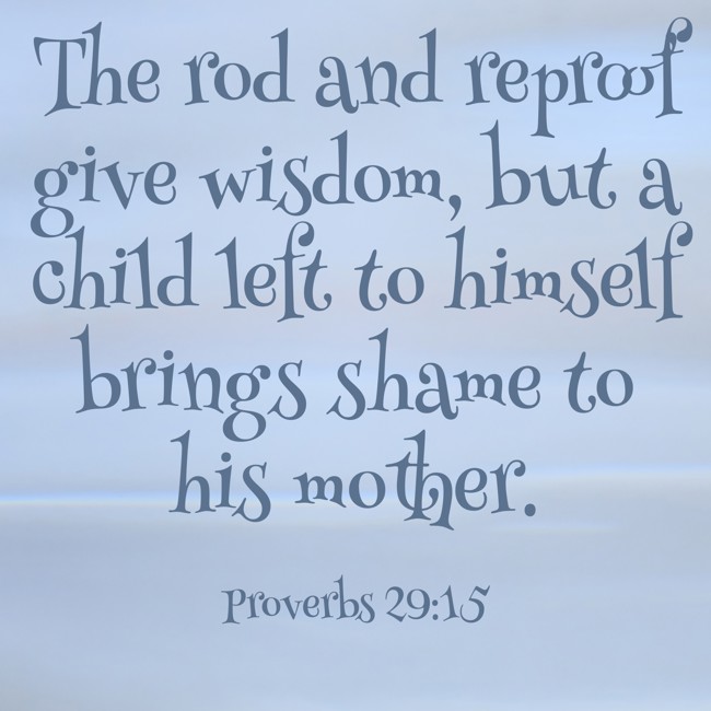 The rod and reproof give wisdom, but a child left to himself brings shame to his mother. - Proverbs 29:15